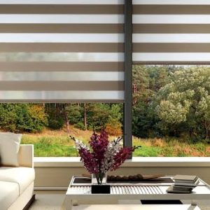WINDOW BLINDS