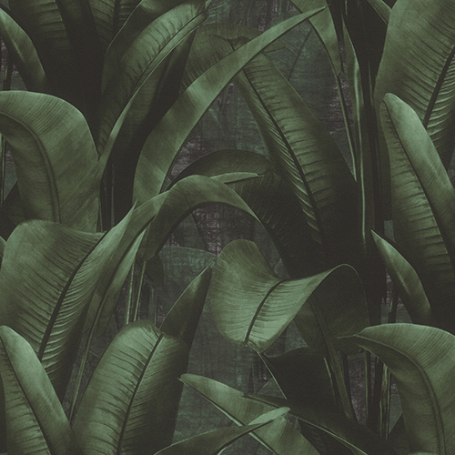 WALLPAPER - MANILLA - NIGHT GARDEN